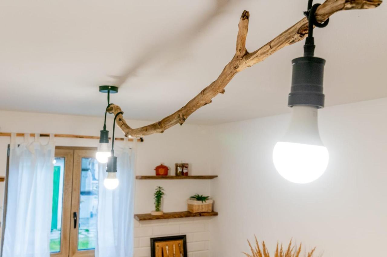 Poieni 39 Villa Poienile Izei Dış mekan fotoğraf